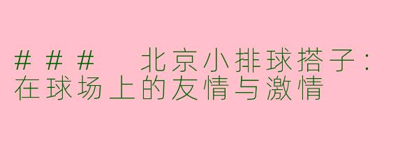 ### 北京小排球搭子：在球场上的友情与激情