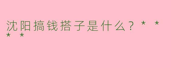 沈阳搞钱搭子是什么?****