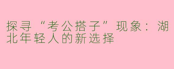 探寻“考公搭子”现象：湖北年轻人的新选择