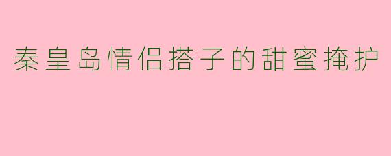 秦皇岛情侣搭子的甜蜜掩护