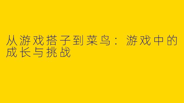 从游戏搭子到菜鸟：游戏中的成长与挑战