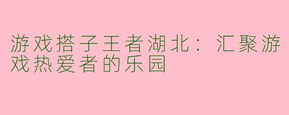 游戏搭子王者湖北：汇聚游戏热爱者的乐园