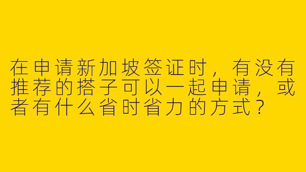 在申请新加坡签证时，有没有推荐的搭子可以一起申请，或者有什么省时省力的方式？