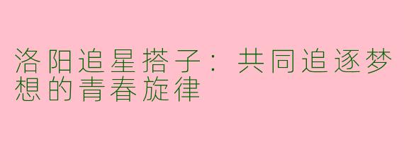 洛阳追星搭子：共同追逐梦想的青春旋律