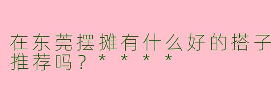 在东莞摆摊有什么好的搭子推荐吗?****