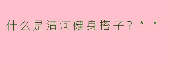 什么是清河健身搭子?**