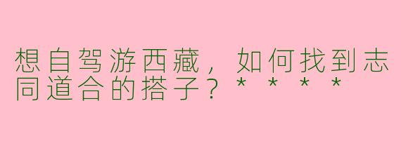 想自驾游西藏,如何找到志同道合的搭子?****