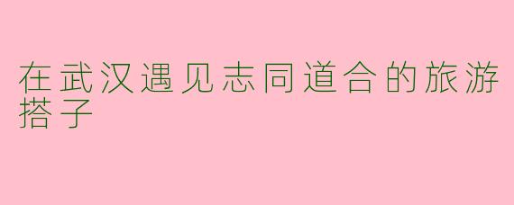 在武汉遇见志同道合的旅游搭子