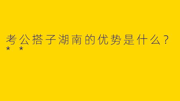 考公搭子湖南的优势是什么？**