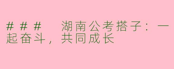 ### 湖南公考搭子:一起奋斗,共同成长