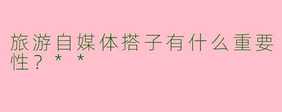 旅游自媒体搭子有什么重要性？**