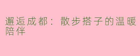 邂逅成都：散步搭子的温暖陪伴