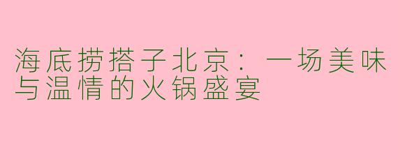 海底捞搭子北京：一场美味与温情的火锅盛宴