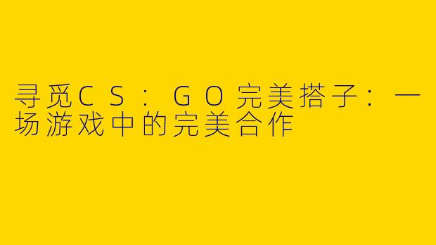 寻觅CS:GO完美搭子：一场游戏中的完美合作