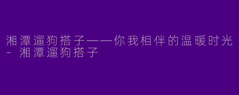 湘潭遛狗搭子——你我相伴的温暖时光-湘潭遛狗搭子