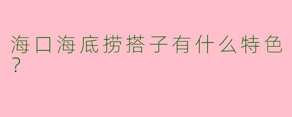 海口海底捞搭子有什么特色?