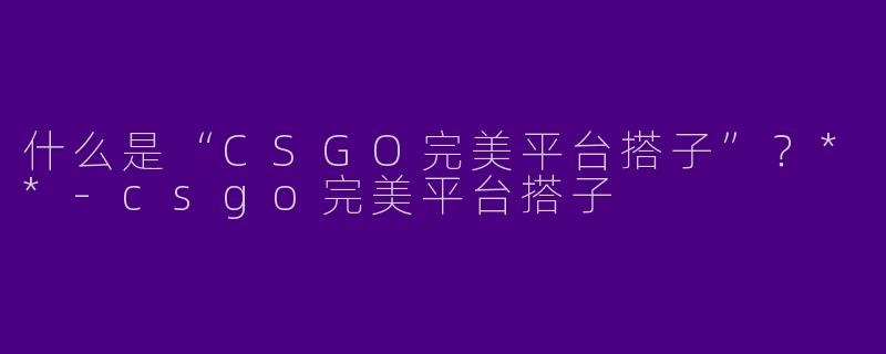 什么是“CSGO完美平台搭子”？**