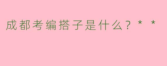 成都考编搭子是什么?**