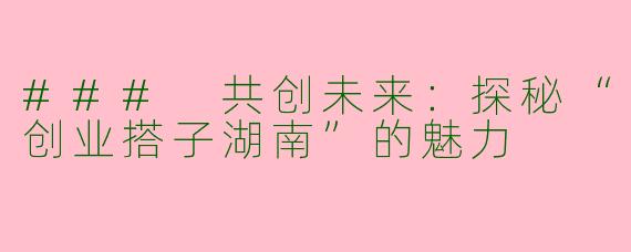 ### 共创未来：探秘“创业搭子湖南”的魅力