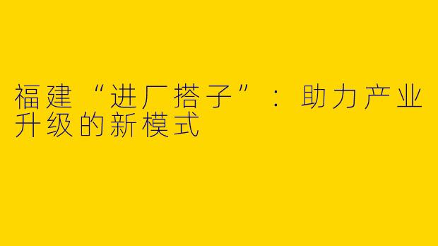 福建“进厂搭子”：助力产业升级的新模式
