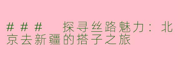 ### 探寻丝路魅力：北京去新疆的搭子之旅