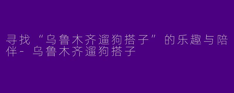 寻找“乌鲁木齐遛狗搭子”的乐趣与陪伴-乌鲁木齐遛狗搭子