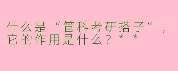 什么是“管科考研搭子”，它的作用是什么？**