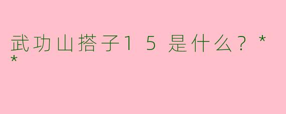 武功山搭子15是什么?**
