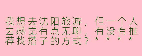 我想去沈阳旅游,但一个人去感觉有点无聊,有没有推荐找搭子的方式?****