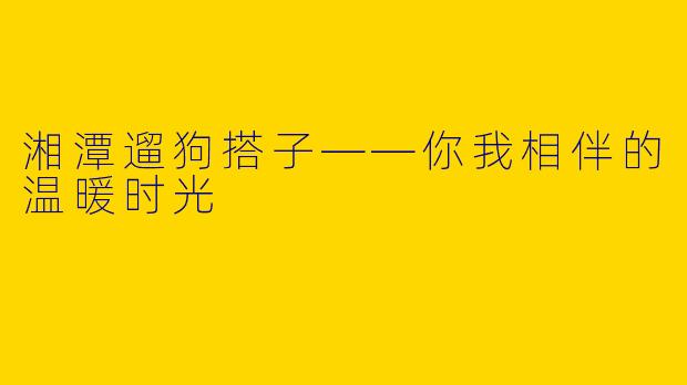 湘潭遛狗搭子——你我相伴的温暖时光
