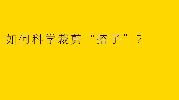 如何科学裁剪“搭子”?