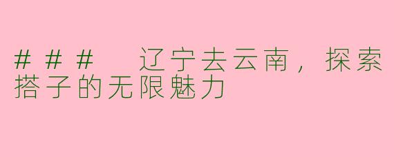 ### 辽宁去云南，探索搭子的无限魅力
