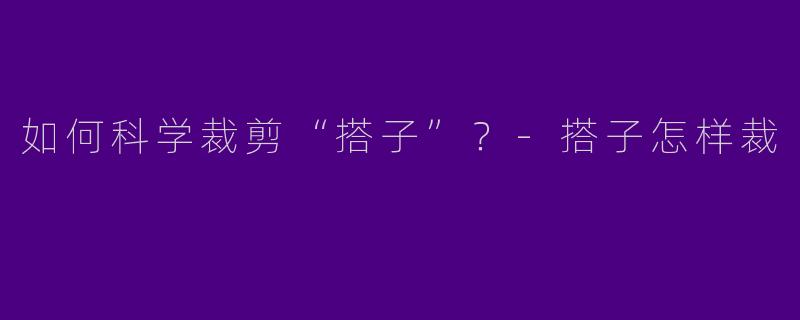 如何科学裁剪“搭子”？-搭子怎样裁