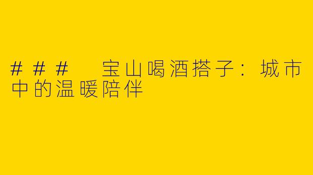 ### 宝山喝酒搭子：城市中的温暖陪伴