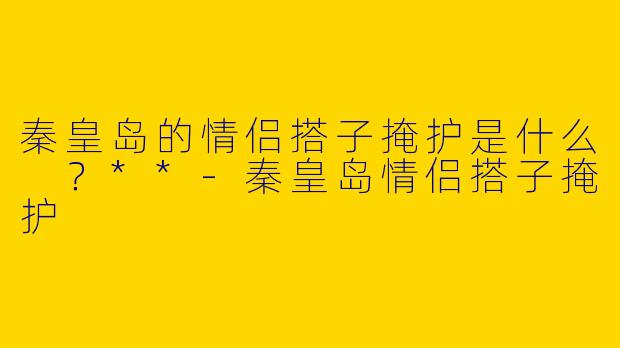 秦皇岛的情侣搭子掩护是什么 ？**