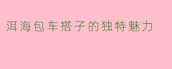 洱海包车搭子的独特魅力
