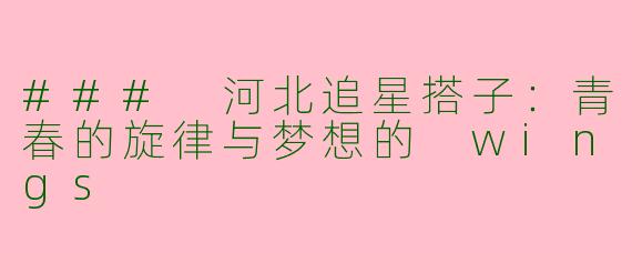 ### 河北追星搭子：青春的旋律与梦想的 wings