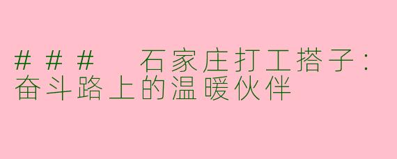 ### 石家庄打工搭子：奋斗路上的温暖伙伴