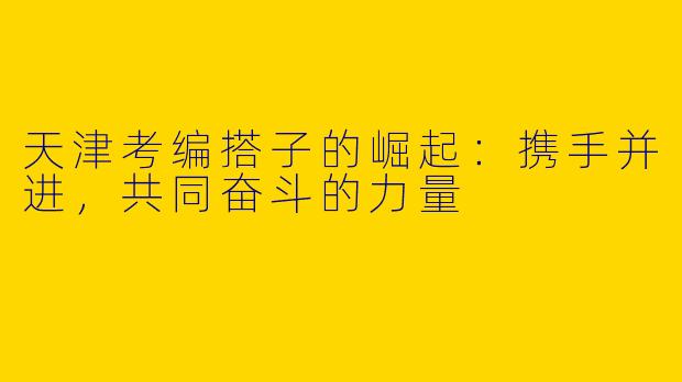 天津考编搭子的崛起：携手并进，共同奋斗的力量