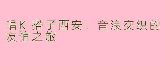 唱K搭子西安：音浪交织的友谊之旅