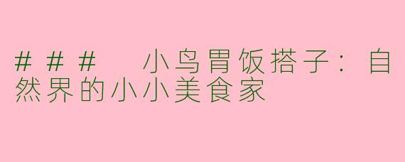 ### 小鸟胃饭搭子：自然界的小小美食家
