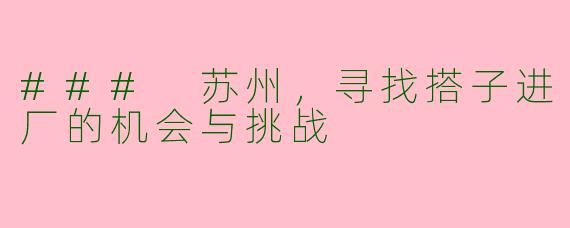 ### 苏州,寻找搭子进厂的机会与挑战
