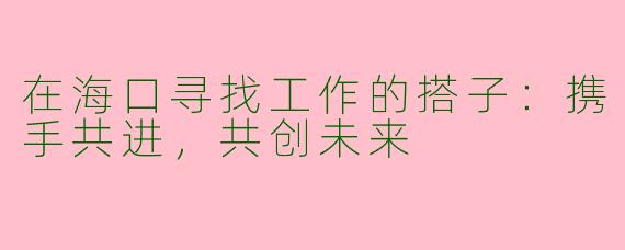 在海口寻找工作的搭子：携手共进，共创未来