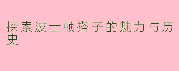 探索波士顿搭子的魅力与历史