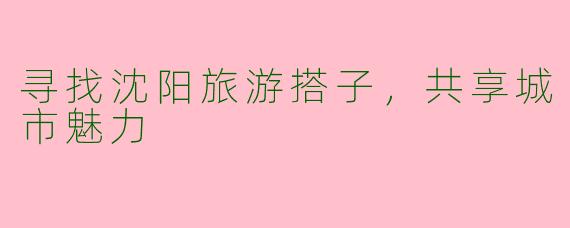 寻找沈阳旅游搭子,共享城市魅力
