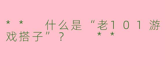 ** 什么是“老101游戏搭子”? **