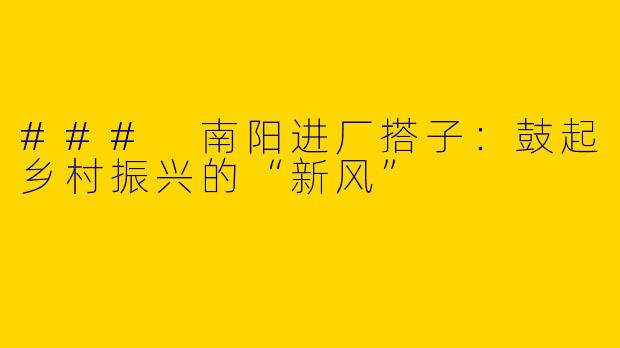 ### 南阳进厂搭子：鼓起乡村振兴的“新风”