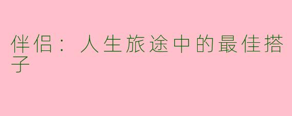 伴侣：人生旅途中的最佳搭子