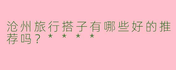 沧州旅行搭子有哪些好的推荐吗？****