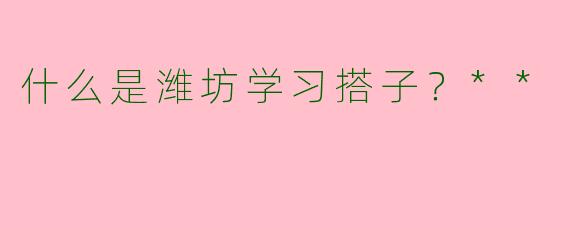 什么是潍坊学习搭子?**